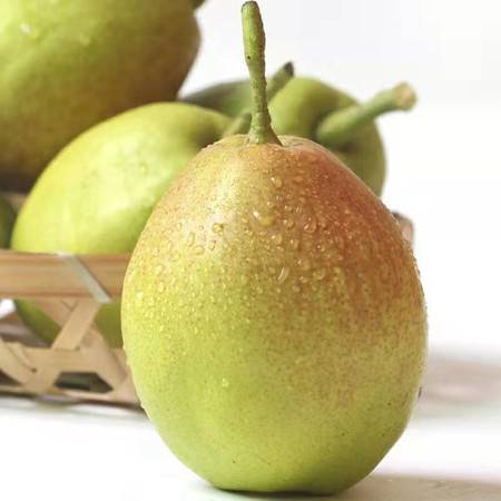 陜西紅香酥梨 源于庫爾勒香梨的新鮮之選，郵樂官網(wǎng)批發(fā)正當(dāng)時(shí)